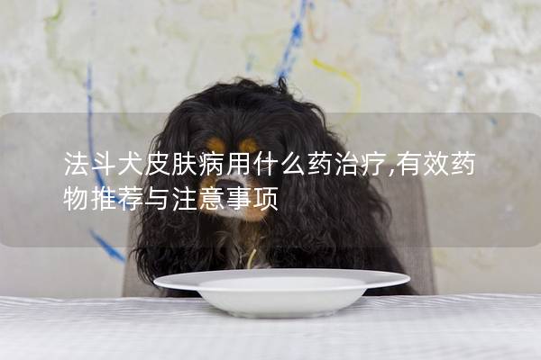 法斗犬皮肤病用什么药治疗,有效药物推荐与注意事项