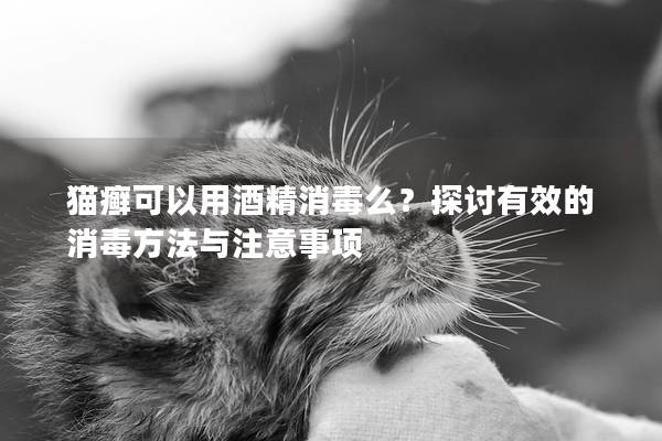 猫癣可以用酒精消毒么？探讨有效的消毒方法与注意事项