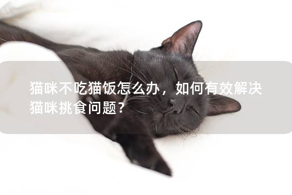 猫咪不吃猫饭怎么办，如何有效解决猫咪挑食问题？