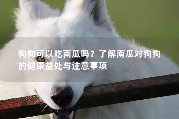 狗狗可以吃南瓜吗？了解南瓜对狗狗的健康益处与注意事项