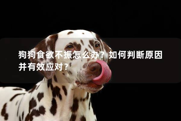 狗狗食欲不振怎么办？如何判断原因并有效应对？