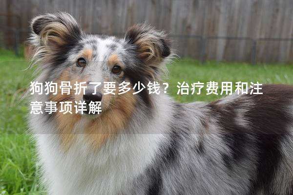 狗狗骨折了要多少钱？治疗费用和注意事项详解