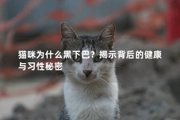 猫咪为什么黑下巴？揭示背后的健康与习性秘密