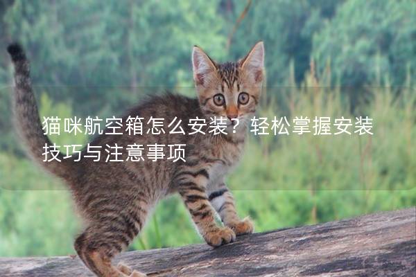 猫咪航空箱怎么安装？轻松掌握安装技巧与注意事项