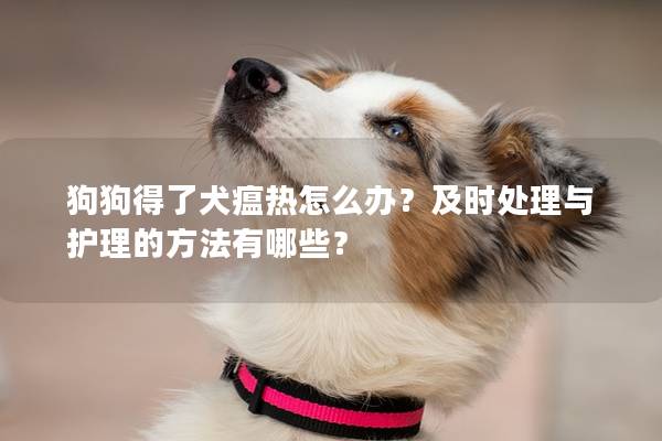 狗狗得了犬瘟热怎么办？及时处理与护理的方法有哪些？