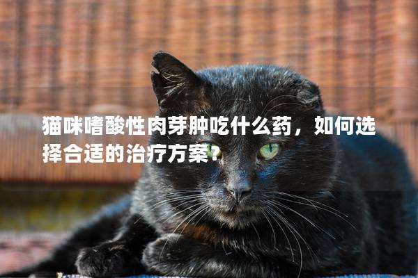 猫咪嗜酸性肉芽肿吃什么药，如何选择合适的治疗方案？