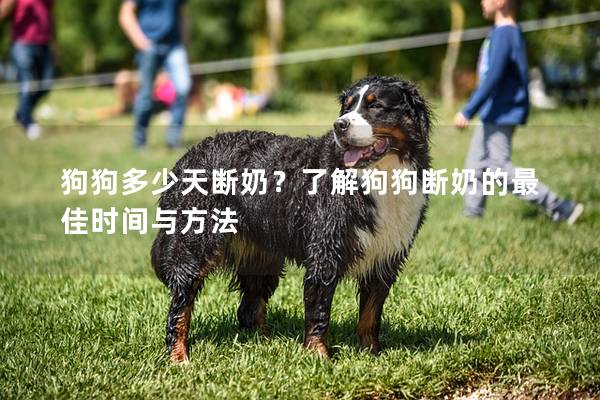 狗狗多少天断奶？了解狗狗断奶的最佳时间与方法