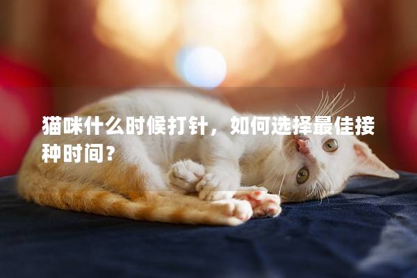 猫咪什么时候打针，如何选择最佳接种时间？