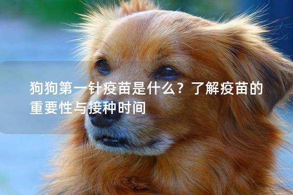 狗狗第一针疫苗是什么？了解疫苗的重要性与接种时间