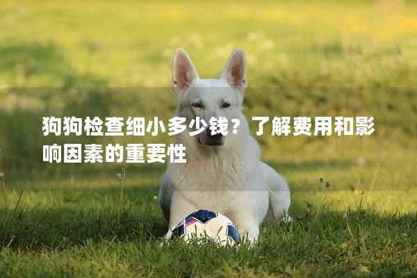 狗狗检查细小多少钱？了解费用和影响因素的重要性