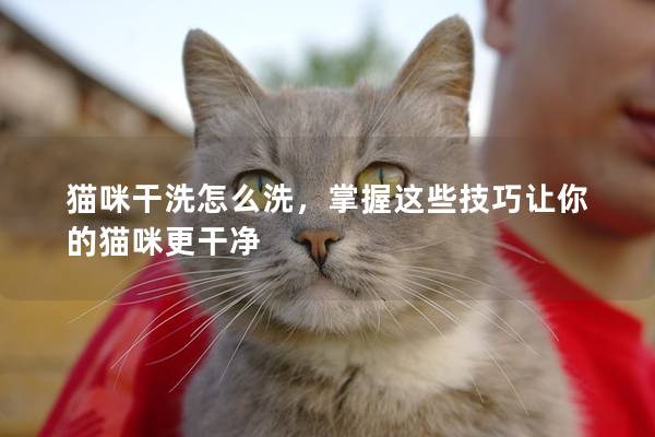 猫咪干洗怎么洗，掌握这些技巧让你的猫咪更干净