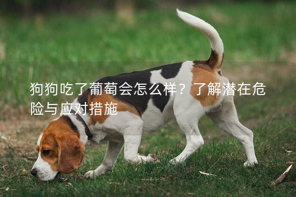 狗狗吃了葡萄会怎么样？了解潜在危险与应对措施