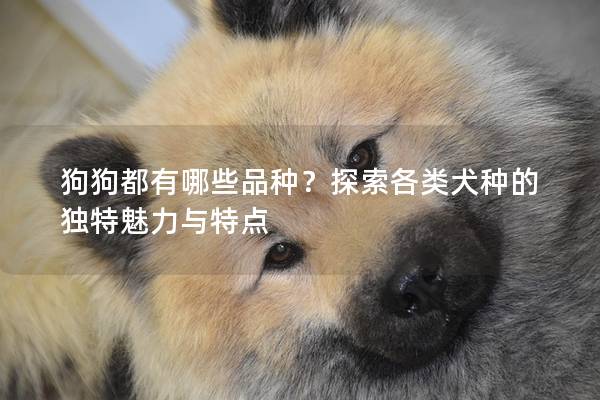 狗狗都有哪些品种？探索各类犬种的独特魅力与特点