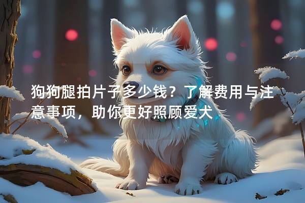 狗狗腿拍片子多少钱？了解费用与注意事项，助你更好照顾爱犬