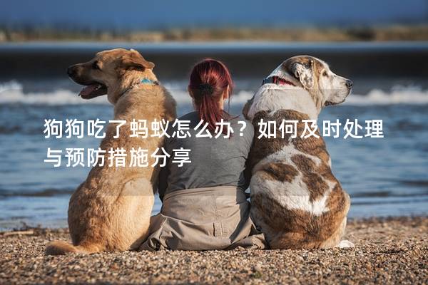 狗狗吃了蚂蚁怎么办？如何及时处理与预防措施分享