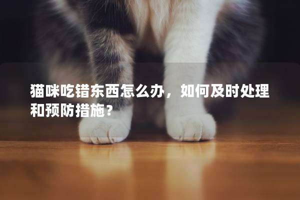 猫咪吃错东西怎么办，如何及时处理和预防措施？