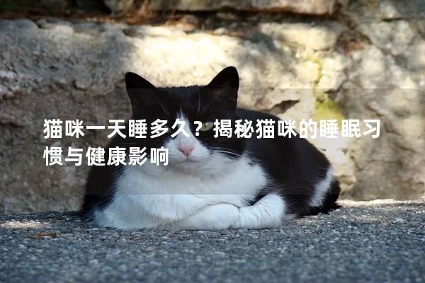 猫咪一天睡多久？揭秘猫咪的睡眠习惯与健康影响