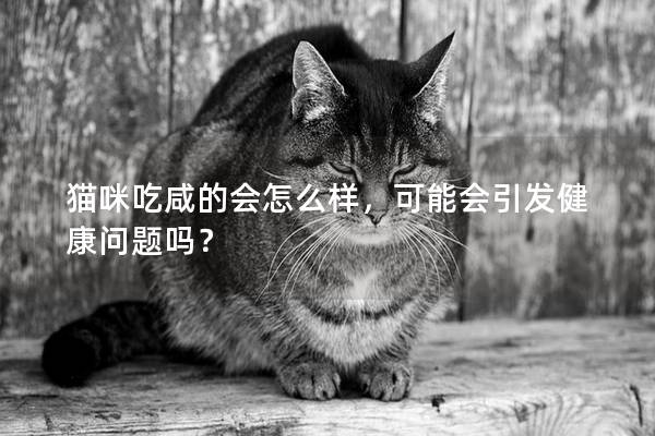 猫咪吃咸的会怎么样，可能会引发健康问题吗？