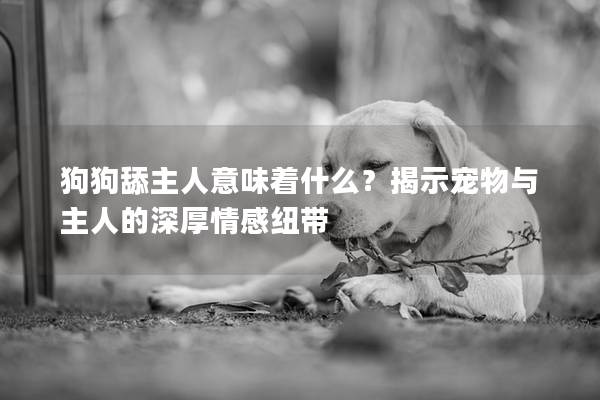 狗狗舔主人意味着什么？揭示宠物与主人的深厚情感纽带