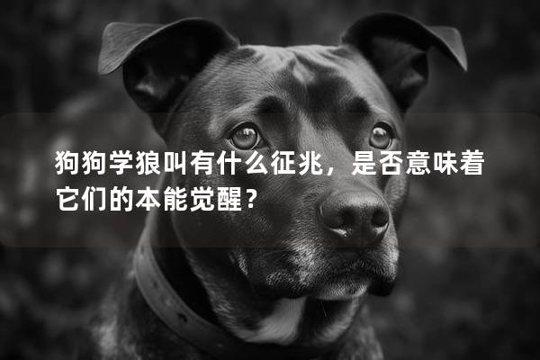 狗狗学狼叫有什么征兆，是否意味着它们的本能觉醒？