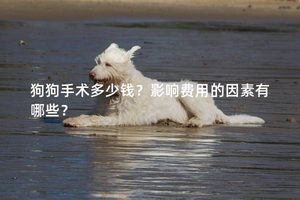 狗狗手术多少钱？影响费用的因素有哪些？