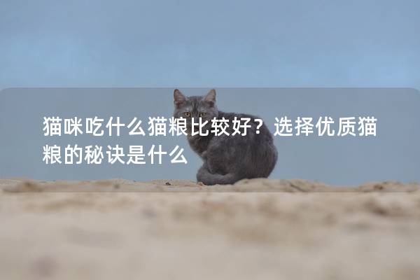 猫咪吃什么猫粮比较好？选择优质猫粮的秘诀是什么