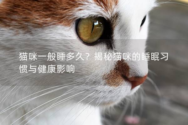 猫咪一般睡多久？揭秘猫咪的睡眠习惯与健康影响