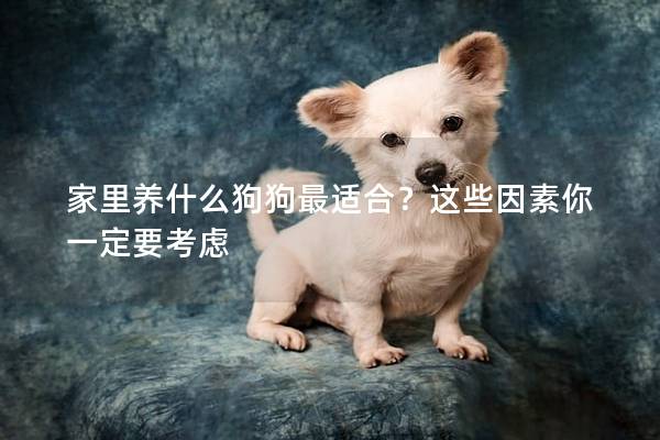 家里养什么狗狗最适合？这些因素你一定要考虑