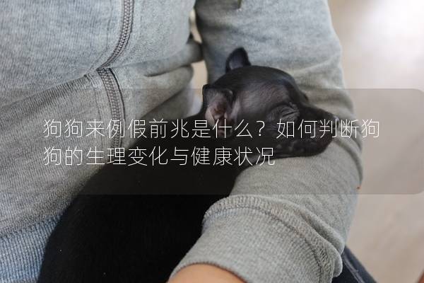 狗狗来例假前兆是什么？如何判断狗狗的生理变化与健康状况