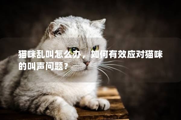 猫咪乱叫怎么办，如何有效应对猫咪的叫声问题？