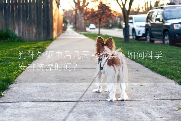 狗体外驱虫后几天能洗澡？如何科学安排洗澡时间？