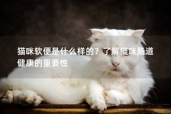 猫咪软便是什么样的？了解猫咪肠道健康的重要性