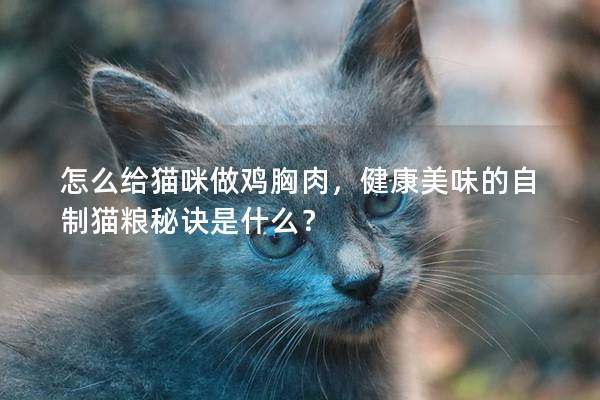 怎么给猫咪做鸡胸肉，健康美味的自制猫粮秘诀是什么？