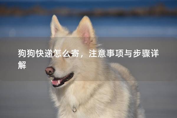 狗狗快递怎么寄，注意事项与步骤详解