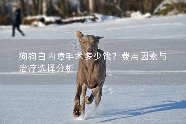 狗狗白内障手术多少钱？费用因素与治疗选择分析