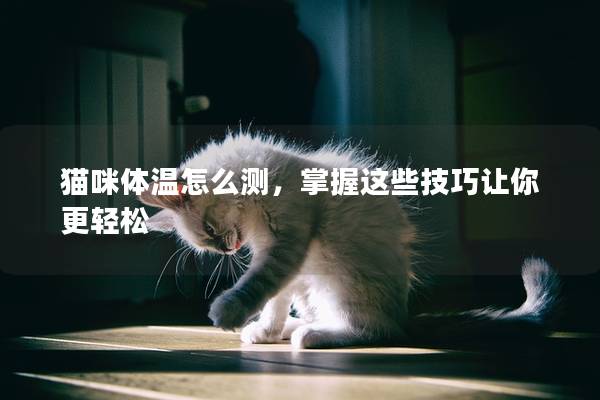 猫咪体温怎么测，掌握这些技巧让你更轻松