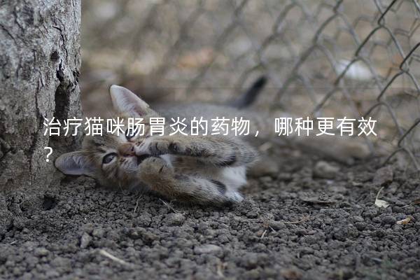 治疗猫咪肠胃炎的药物，哪种更有效？