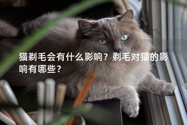 猫剃毛会有什么影响？剃毛对猫的影响有哪些？