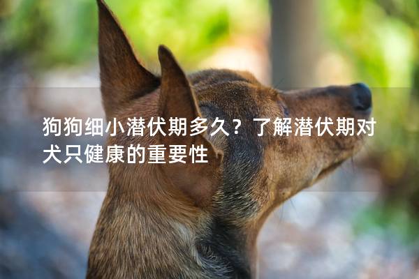 狗狗细小潜伏期多久？了解潜伏期对犬只健康的重要性