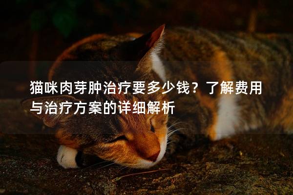 猫咪肉芽肿治疗要多少钱？了解费用与治疗方案的详细解析