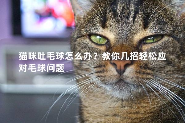 猫咪吐毛球怎么办？教你几招轻松应对毛球问题