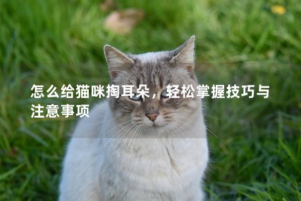 怎么给猫咪掏耳朵，轻松掌握技巧与注意事项