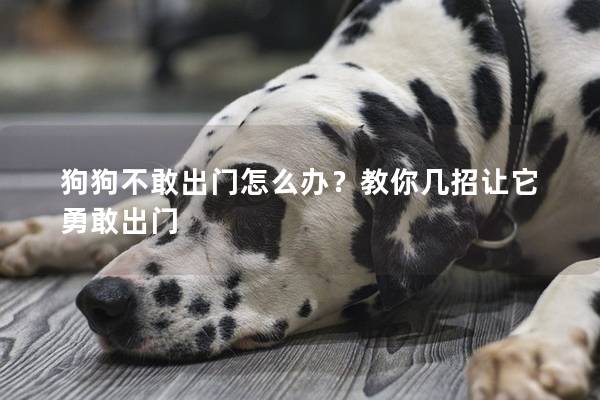 狗狗不敢出门怎么办？教你几招让它勇敢出门