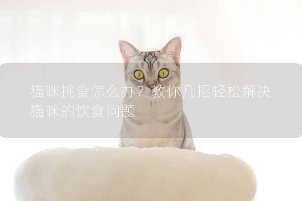 猫咪挑食怎么办？教你几招轻松解决猫咪的饮食问题