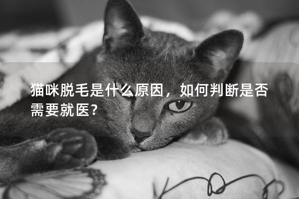 猫咪脱毛是什么原因，如何判断是否需要就医？