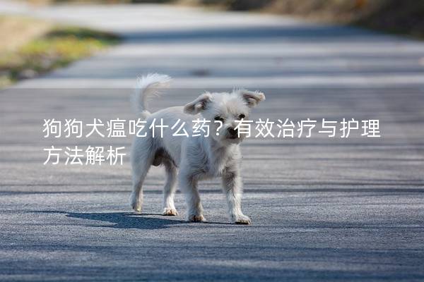 狗狗犬瘟吃什么药？有效治疗与护理方法解析