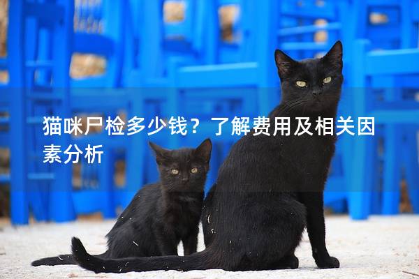 猫咪尸检多少钱？了解费用及相关因素分析