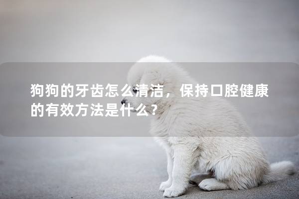 狗狗的牙齿怎么清洁，保持口腔健康的有效方法是什么？