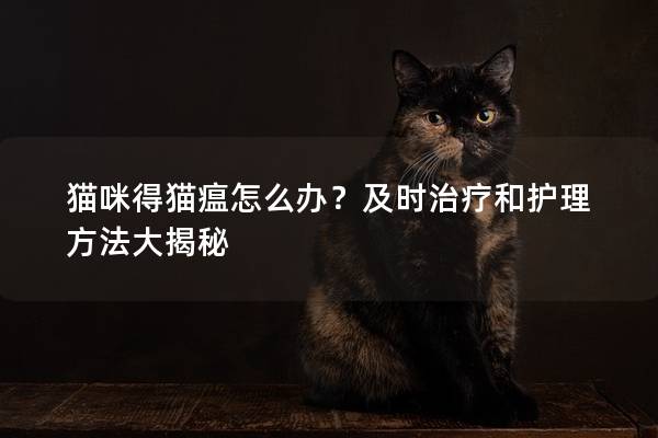 猫咪得猫瘟怎么办？及时治疗和护理方法大揭秘