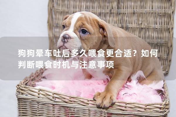 狗狗晕车吐后多久喂食更合适？如何判断喂食时机与注意事项